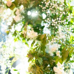 東京會舘の写真30枚目