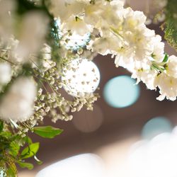 東京會舘の写真11枚目