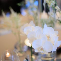 パレスホテル東京の写真22枚目