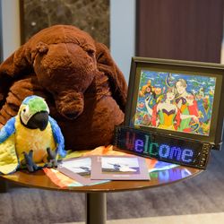 ルーキスの写真7枚目