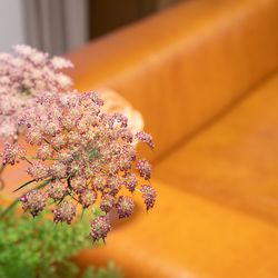 TRUNK HOTELの写真8枚目