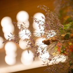 TRUNK HOTELの写真12枚目