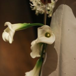 ザ ナンザンハウスの写真8枚目