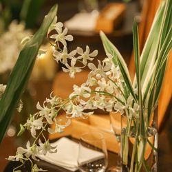 ザ ナンザンハウスの写真11枚目