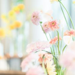 Mia Viaの写真2枚目