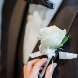 ルーキスの写真1枚目