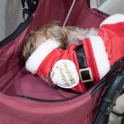 ザ リュクス 銀座の写真2枚目