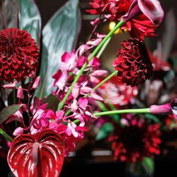 グランド ハイアット 東京の写真33枚目