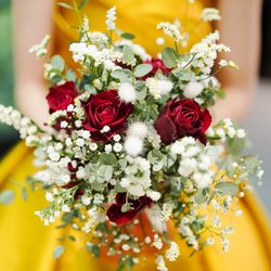 アルモニーソルーナ 表参道の写真24枚目