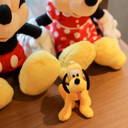 ララシャンス岡崎迎賓館の写真26枚目