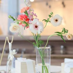 ララシャンス岡崎迎賓館の写真16枚目