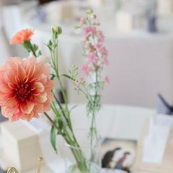 ララシャンス岡崎迎賓館の写真29枚目