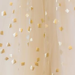 ララシャンス岡崎迎賓館の写真12枚目