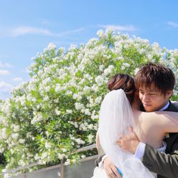 マンダリンポルトの写真26枚目