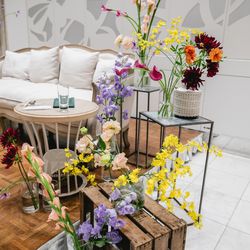 Mia Viaの写真11枚目