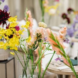 Mia Viaの写真7枚目