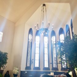 ティアラガーデンズ横浜の写真19枚目