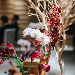 鶴見ノ森 迎賓館の写真26枚目