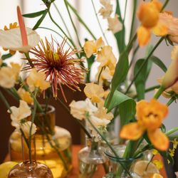 The Place of Tokyoの写真17枚目