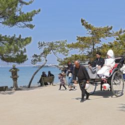 厳島神社の写真14枚目