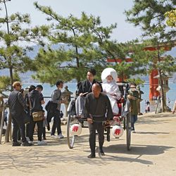 厳島神社の写真33枚目