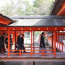 厳島神社の写真26枚目