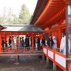 厳島神社の写真12枚目