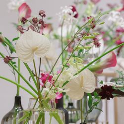 TIAD, オートグラフ コレクションの写真17枚目