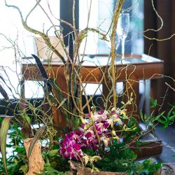 ザ・カワブンナゴヤの写真27枚目