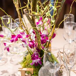 ザ・カワブンナゴヤの写真17枚目