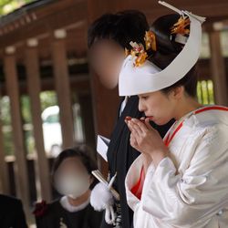 豊国神社の写真6枚目