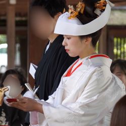 豊国神社の写真7枚目