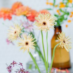 ヴェールノアールの写真29枚目