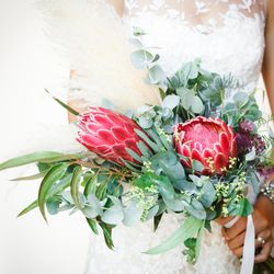 アマンダンテラスの写真18枚目