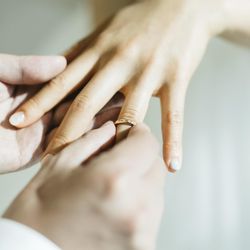 アマンダンテラスの写真29枚目