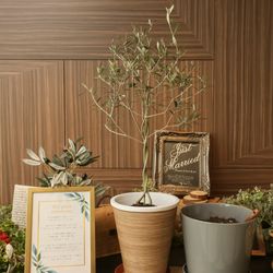 ララシャンス岡崎迎賓館の写真34枚目