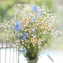 ララシャンス岡崎迎賓館の写真18枚目