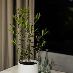 TRUNK HOTELの写真21枚目