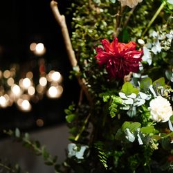 TRUNK HOTELの写真2枚目