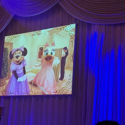 ディズニーアンバサダー®️ホテルの写真36枚目