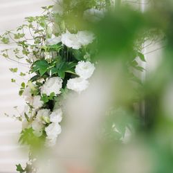 パレスホテル東京の写真2枚目