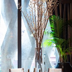 ザ・テンダーハウスの写真27枚目