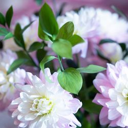 ザ・コンダーハウスの写真10枚目