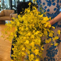 ラ・フェット ひらまつの写真22枚目