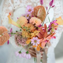 アマンダンヒルズの写真27枚目