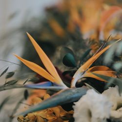 美らの教会の写真31枚目