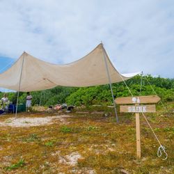 ラシック アンジュールの写真22枚目