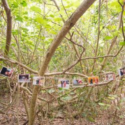 ラシック アンジュールの写真6枚目