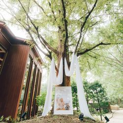 鶴見ノ森 迎賓館の写真10枚目