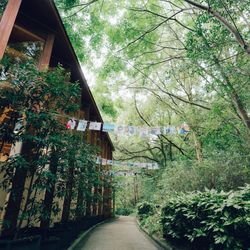 鶴見ノ森 迎賓館の写真27枚目